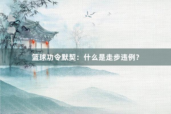 篮球功令默契：什么是走步违例？